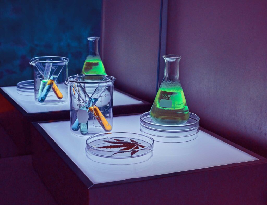 image of cannabis science lab researching the power of CBN; Photo by Girl with red hat on Unsplash