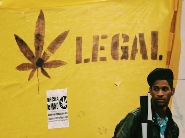 image of wall with a cannabis leaf and the word legal as a concept for legal consumption of marijuana in San Francisco, California; Photo by Greta Schölderle Møller on Unsplash