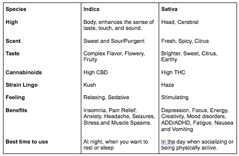 image of chart with sativa and indica effects to help you avoid the wrong strain